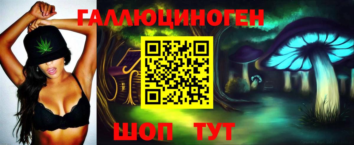 Галлюциногенные грибы Psilocybe  где купить   Белогорск  Псилоцибиновые грибы MAGIC MUSHROOMS  Вход с VPN 